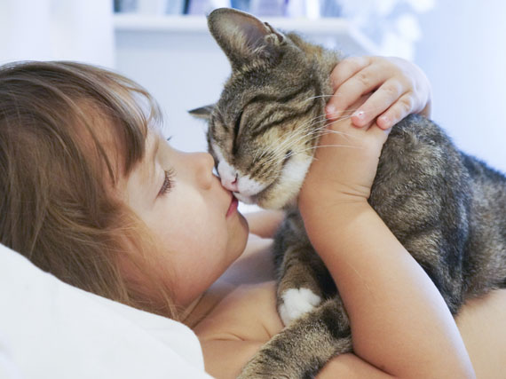 Secretos del ‘idioma gato’